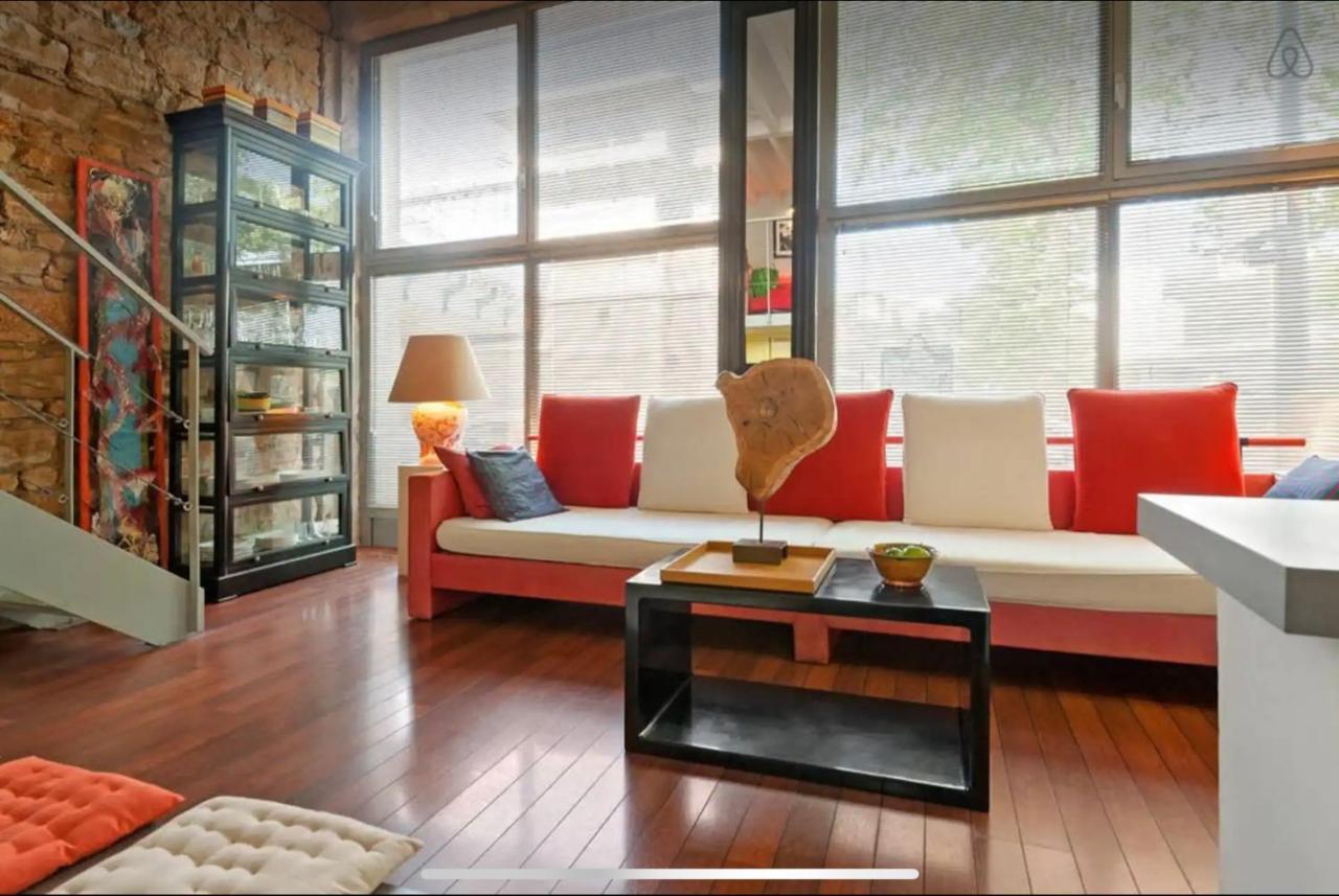 Loft Sur Saone Appartement *