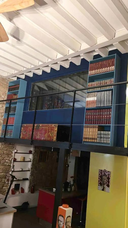 Loft Sur Saone Appartement *